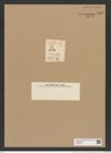 Triceratium nitidum Grev. (de-Toni-Nr.: Genus 140, Species 3979) Zeichnungen Sammlung Grunow Nr. 7455 (NHMW-BOT-W0376547)